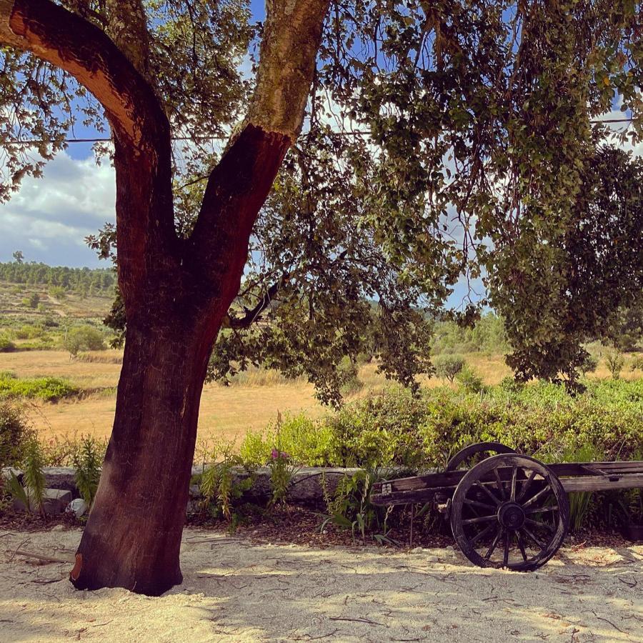 Quinta Da Corga 호텔 Prova 외부 사진