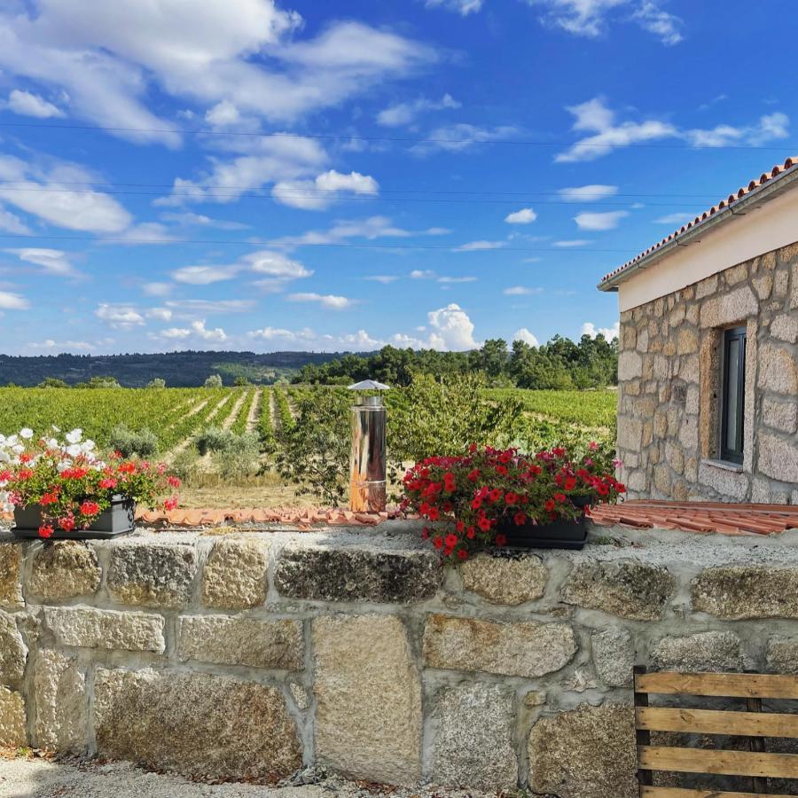 Quinta Da Corga 호텔 Prova 외부 사진