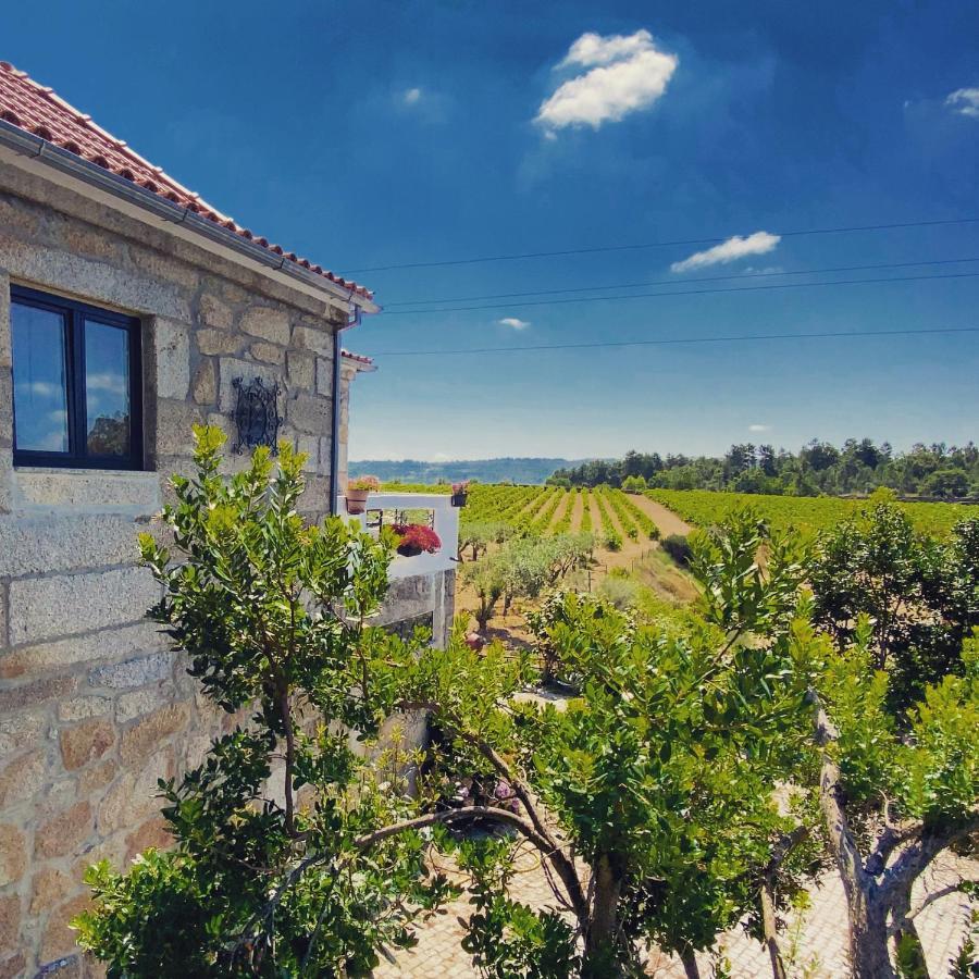 Quinta Da Corga 호텔 Prova 외부 사진
